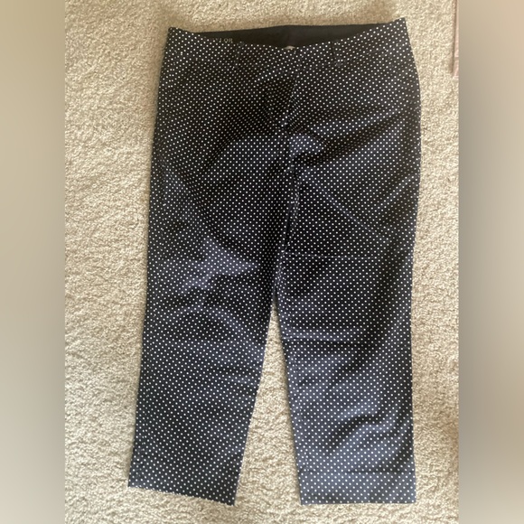 Ann Taylor Loft & Talbots lot of capris and skirt Size 16 - Picture 7 of 8